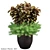 Modern Indoor Botanical Art Sculpture 3D model small image 1