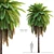 Tropical Tree Set 3D Models 3D model small image 1