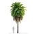 Tropical Tree Set 3D Models 3D model small image 2