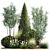 Evergreen Landscape Plant Collection 3D model small image 1