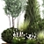 Evergreen Landscape Plant Collection 3D model small image 2