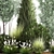 Evergreen Landscape Plant Collection 3D model small image 3