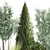 Evergreen Landscape Plant Collection 3D model small image 4