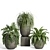 Modern Indoor Plant Set with Dark Concrete Pot 3D model small image 2