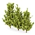 Versatile 3D Plant Models Set 3D model small image 3