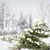 Winter Pine Duo Set, 2m 3D model small image 4