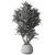 Natural Yucca Plant Decor 3D model small image 2