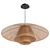 Vintage Rattan Pendant Lamp Fixture 3D model small image 3
