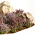 Lavender Bush Collection for Landscaping 3D model small image 3