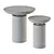 Dennis Miller Cockatoo Tables Pair 3D model small image 3