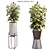 Modern Indoor Plant Decor 011 3D model small image 1