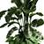 Versatile Combo Plant Models Pack 3D model small image 5