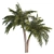 Tropical Palm Tree 3D Model 3D model small image 2