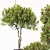 Fruit Tree Plant Collection Set 3D model small image 5