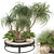 Boho Ponytail Palm Tree Set 3D model small image 2