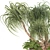 Boho Ponytail Palm Tree Set 3D model small image 3