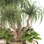 Boho Ponytail Palm Tree Set 3D model small image 4