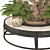 Boho Ponytail Palm Tree Set 3D model small image 5