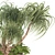 Boho Ponytail Palm Tree Set 3D model small image 9