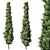 Evergreen Chamaecyparis Tree Polys_Verta 3D model small image 1