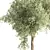 Dimensional Centimeters Tree No.19 3D model small image 2
