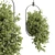 Modern Hanging Indoor Plant 352 3D model small image 1