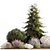 Alpine Rockery Plant Collection 3D model small image 6