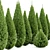 3D Mediterranean Cypress Tree Models 3D model small image 2