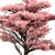 Pink Cedar Tree Set 150 3D model small image 2