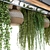Hanging Plants Restaurant Counter Model 3D model small image 3