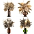 Luxury White Dried Flower Bouquet 3D model small image 1