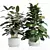 Exotic Indoor Plant Set 3D model small image 2