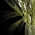 Green Wheat Lavender Bouquet 3D model small image 2