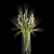 Green Wheat Lavender Bouquet 3D model small image 6