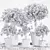 Tropical Indoor Citrus Tree Set 3D model small image 5