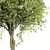 Centimeter Tree No.21 Figurine 2013 3D model small image 2