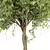 Centimeter Tree No.21 Figurine 2013 3D model small image 3