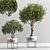 Modern Indoor Plant Decor 19 3D model small image 2