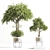 Modern Indoor Plant Decor 19 3D model small image 6