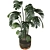 Deluxe Swiss Cheese Plant Pot 3D model small image 2