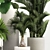 Tropical Plant Set in Concrete Pots 3D model small image 4