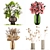 Dried Flower Bouquet Set in Glass Vases, 288 3D model small image 1