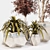 Green Oasis Indoor Plant Set 3D model small image 2