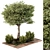 Outdoor Garden Plants Collection 3D model small image 1