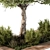 Outdoor Garden Plants Collection 3D model small image 2