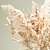 Ethereal White Dried Flower Bouquet 3D model small image 5