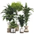 Botanical 3D Plant Collection: Areca Palm 3D model small image 1