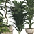 Botanical 3D Plant Collection: Areca Palm 3D model small image 4