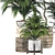 Botanical 3D Plant Collection: Areca Palm 3D model small image 6