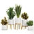 Modern Indoor Plant Set V5 3D model small image 1